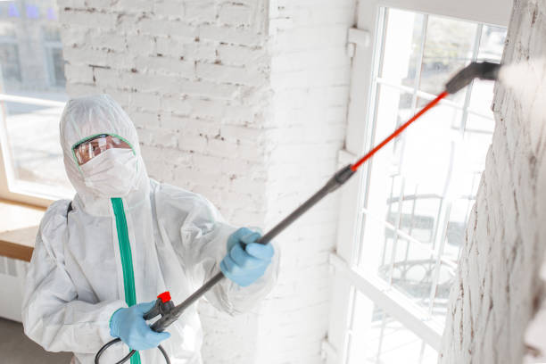  Varnville, SC Mold Removal Pros