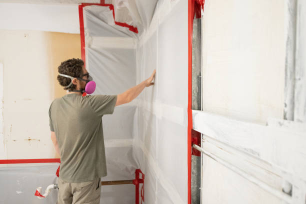 Best Mold Remediation for Healthcare Facilities  in Varnville, SC