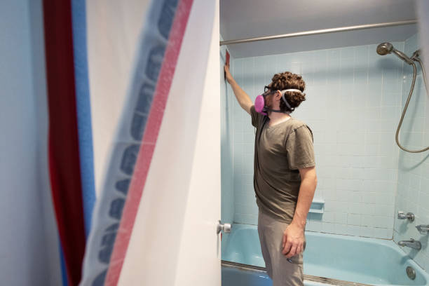 Best Asbestos and Lead Testing During Mold Inspection  in Varnville, SC