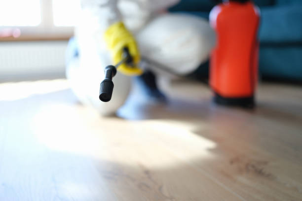 Best Attic Mold Removal  in Varnville, SC