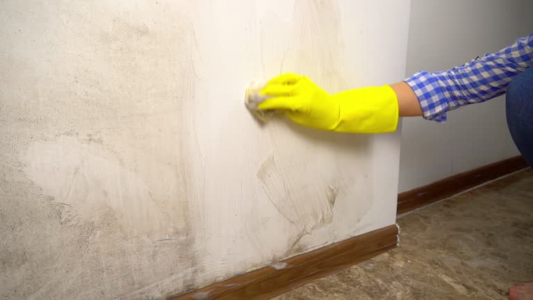 Best Mold Prevention Services  in Varnville, SC