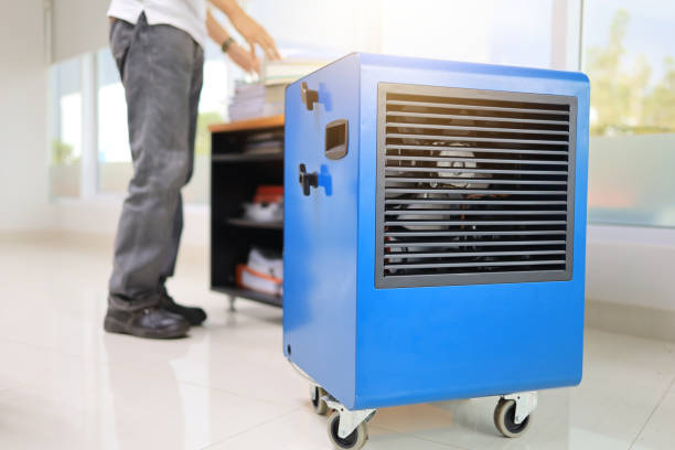 Best Comprehensive Air Testing for Mold Contaminants  in Varnville, SC