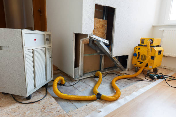 Best Mold Removal for HVAC Installations  in Varnville, SC